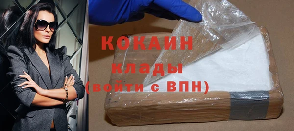 индика Киреевск