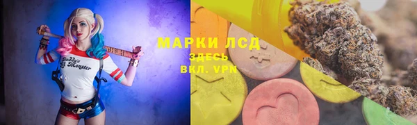 мдпв Мегион