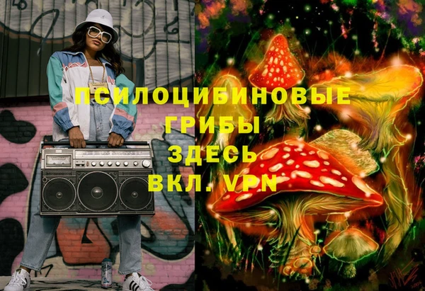мдпв Мегион